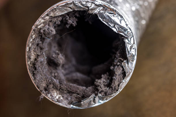 Best Ductwork Cleaning Services  in New Eagle, PA